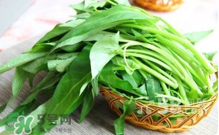 空心菜有毒嗎？空心菜需要焯水嗎？