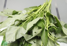 空心菜可以生吃嗎？空心菜能生吃嗎