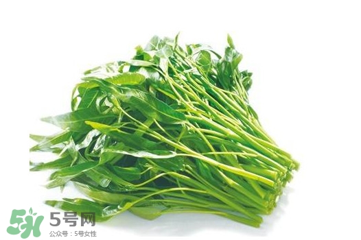 空心菜有毒嗎？空心菜需要焯水嗎？