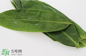 新鮮粽葉怎么處理？新鮮粽子葉怎樣處理？