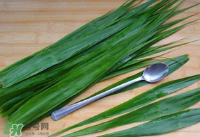 粽葉是蘆葦葉嗎？粽葉和蘆葦葉的區(qū)別