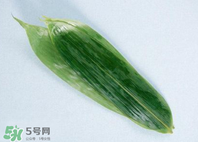 箬葉可以包粽子嗎？箬葉怎么包粽子？