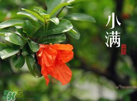 ?小滿可以回娘家嗎？?小滿能回娘家嗎？