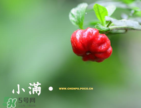 ?小滿可以回娘家嗎？?小滿能回娘家嗎？