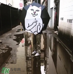 ripndip是什么牌子？ripndip是什么檔次？
