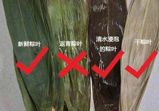 粽葉怎么曬干？粽葉怎么曬干不卷？
