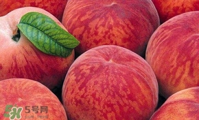 桃子和西瓜一起吃會中毒嗎？桃子和西瓜能一起吃嗎？
