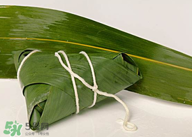 新鮮粽葉怎么處理？新鮮粽子葉怎樣處理？