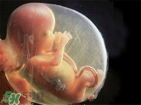 懷孕四個(gè)月需要做什么檢查？懷孕四個(gè)月胎兒圖