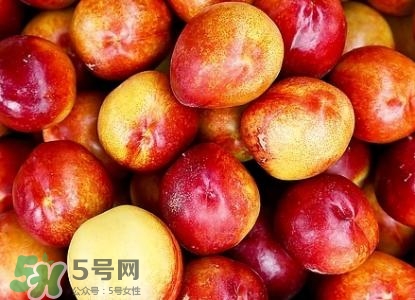 桃子的種類(lèi)有哪些？哪種桃子最好吃？