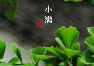 ?小滿可以回娘家嗎？?小滿能回娘家嗎？