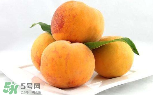 哺乳期可以吃黃桃嗎？哺乳期能吃黃桃罐頭嗎