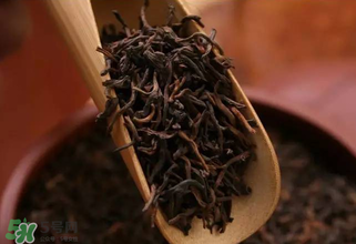 普洱茶能不能天天喝？天天喝普洱茶好嗎？