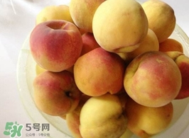 黃桃是發(fā)物嗎？黃桃是不是發(fā)物？