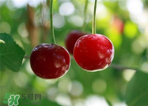 哺乳期能吃櫻桃嗎？哺乳期吃櫻桃寶寶會(huì)上火嗎？