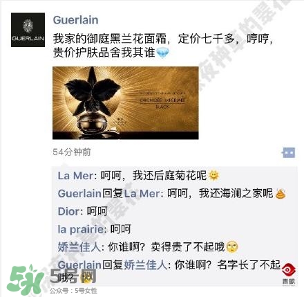 嬌蘭和嬌蘭佳人一樣嗎？嬌蘭和嬌蘭佳人什么聯(lián)系？