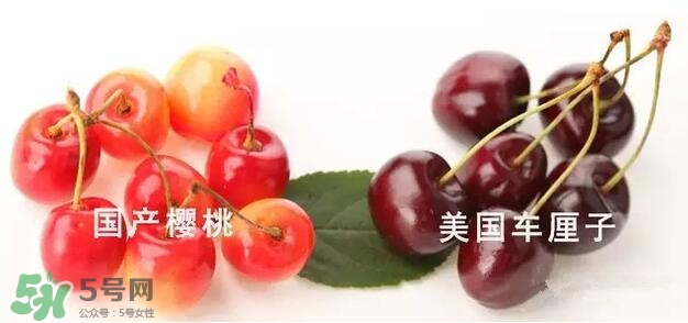 櫻桃和車?yán)遄佑惺裁磪^(qū)別？櫻桃和車?yán)遄幽膫€貴？