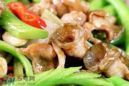 鱷魚肉有毒嗎？鱷魚肉有寄生蟲嗎