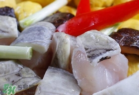 鱷魚肉有刺嗎？鱷魚肉有什么功效