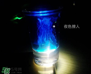 僵尸雞尾酒配方是什么？僵尸雞尾酒配方做法