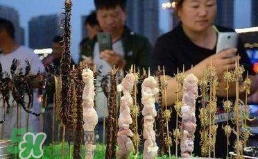鱷魚肉價格多少錢一斤？吃鱷魚犯法嗎？