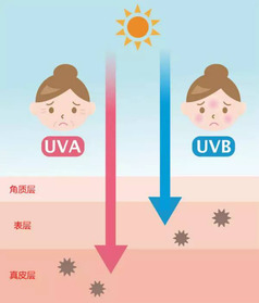 安耐曬好用嗎？安耐曬怎么樣？