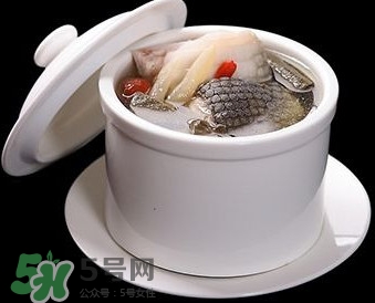 干鱷魚肉怎么吃？鱷魚肉怎么吃治咳嗽？