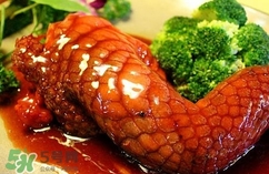 鱷魚肉是寒性的嗎？ 鱷魚肉是寒性還是溫性？