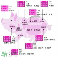 里脊肉是哪個(gè)部位？里脊肉是哪里的肉