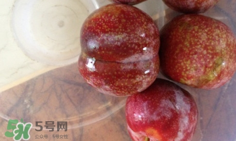三華李可以和香蕉一起吃嗎？香蕉能和三華李一起吃嗎