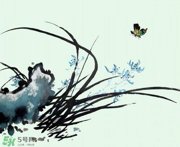 空谷幽蘭是什么書？空谷幽蘭講的是什么？
