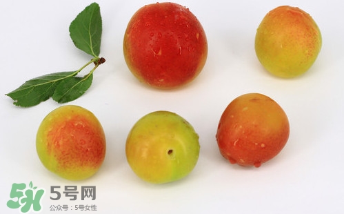 雙華李有什么營(yíng)養(yǎng)？雙華李的營(yíng)養(yǎng)價(jià)值