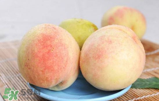陽山水蜜桃多少錢一斤？無錫陽山水蜜桃價格