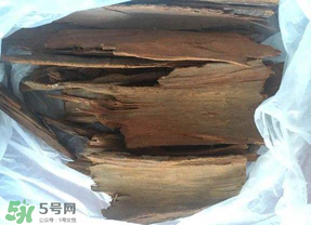 安哥拉樹皮能天天吃嗎？安哥拉樹皮天天吃可以嗎？