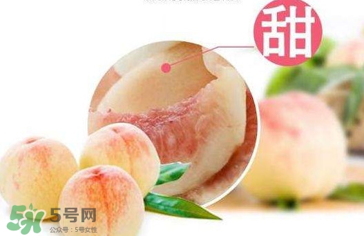 無(wú)錫水蜜桃多少錢一斤2017？無(wú)錫水蜜桃什么時(shí)候上市
