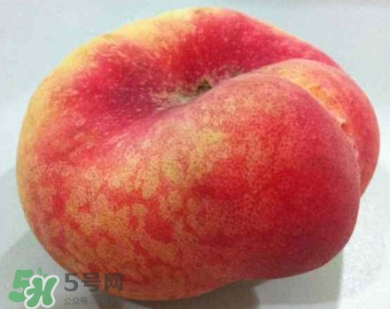 盤桃是蟠桃嗎？盤桃和蟠桃一樣嗎