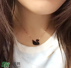 施華洛世奇黑天鵝是什么材質(zhì)？施華洛世奇黑天鵝是水晶嗎？