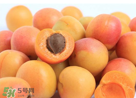 杏子一天吃幾個(gè)？杏子一次可以吃多少？
