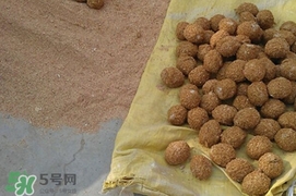 松花蛋是怎么做出來的？松花蛋的家庭腌制方法