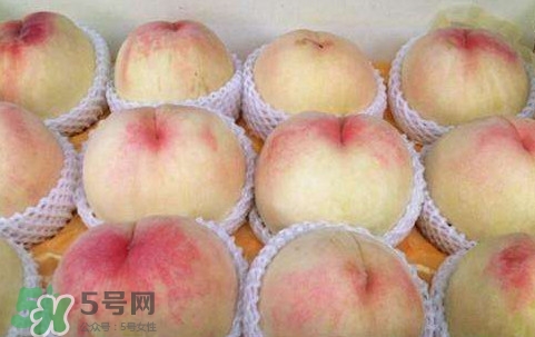 無(wú)錫水蜜桃多少錢一斤2017？無(wú)錫水蜜桃什么時(shí)候上市