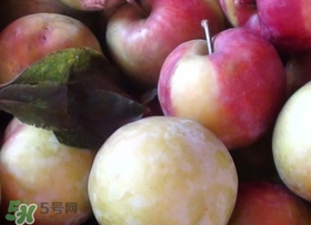 南華李什么時候成熟？南華李和三華李的區(qū)別