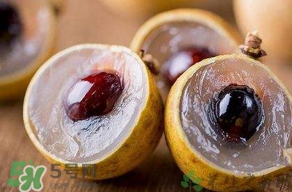 龍眼是哪里的特產(chǎn)？龍眼是幾月份的水果？