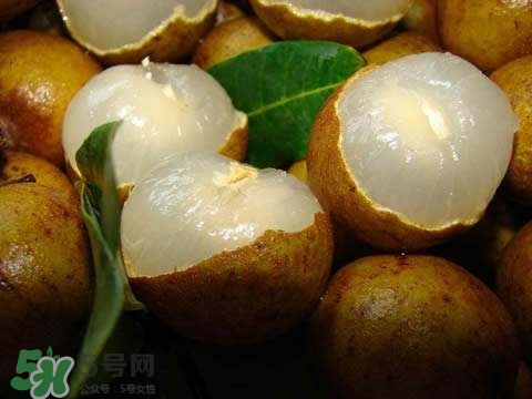 龍眼和桂圓是一種東西嗎？龍眼和桂圓的區(qū)別