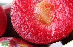 雙華李幾月可以吃？雙華李什么季節(jié)成熟