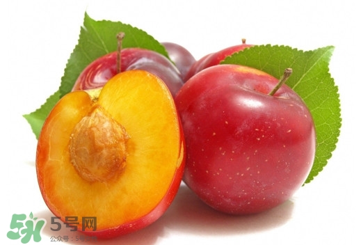 三華李可以放多久？三華李可以冷藏嗎？
