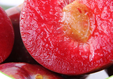 雙華李幾月可以吃？雙華李什么季節(jié)成熟