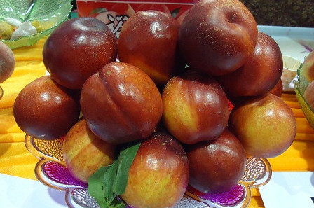 三華李可以用鹽泡嗎？三華李能用鹽水泡嗎