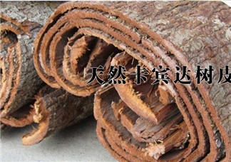 安哥拉樹皮能天天吃嗎？安哥拉樹皮天天吃可以嗎？