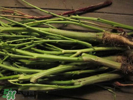 莧菜桿能吃嗎？莧菜桿子可以吃嗎？