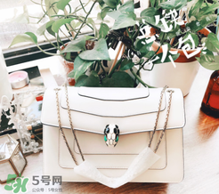 寶格麗蛇頭包有哪幾種尺寸？寶格麗蛇頭包尺寸介紹